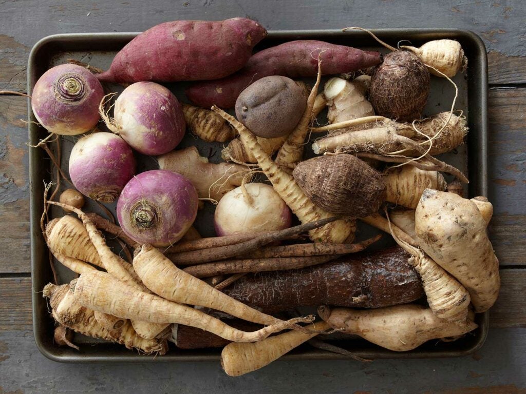 vegetable roots