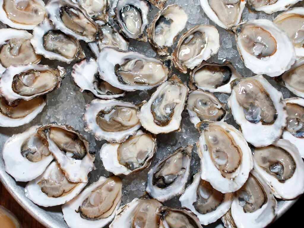 East and West Coast oysters