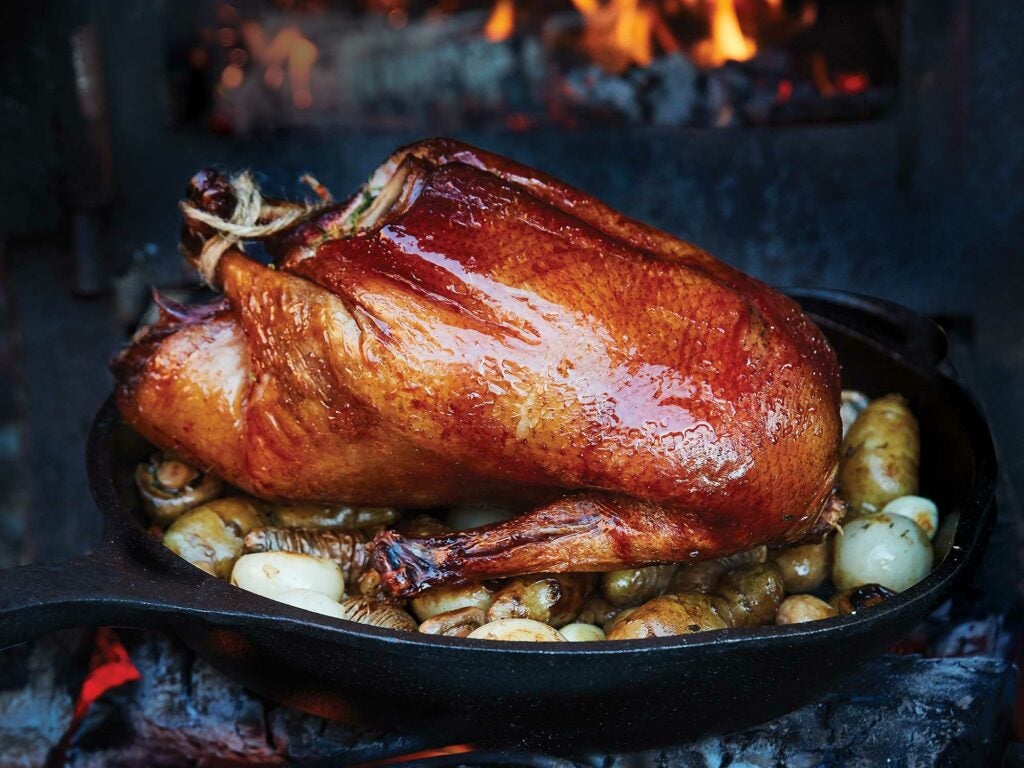 fire-roasted duck and pheasant with red currant jelly