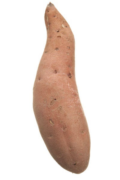 jewel sweet potato