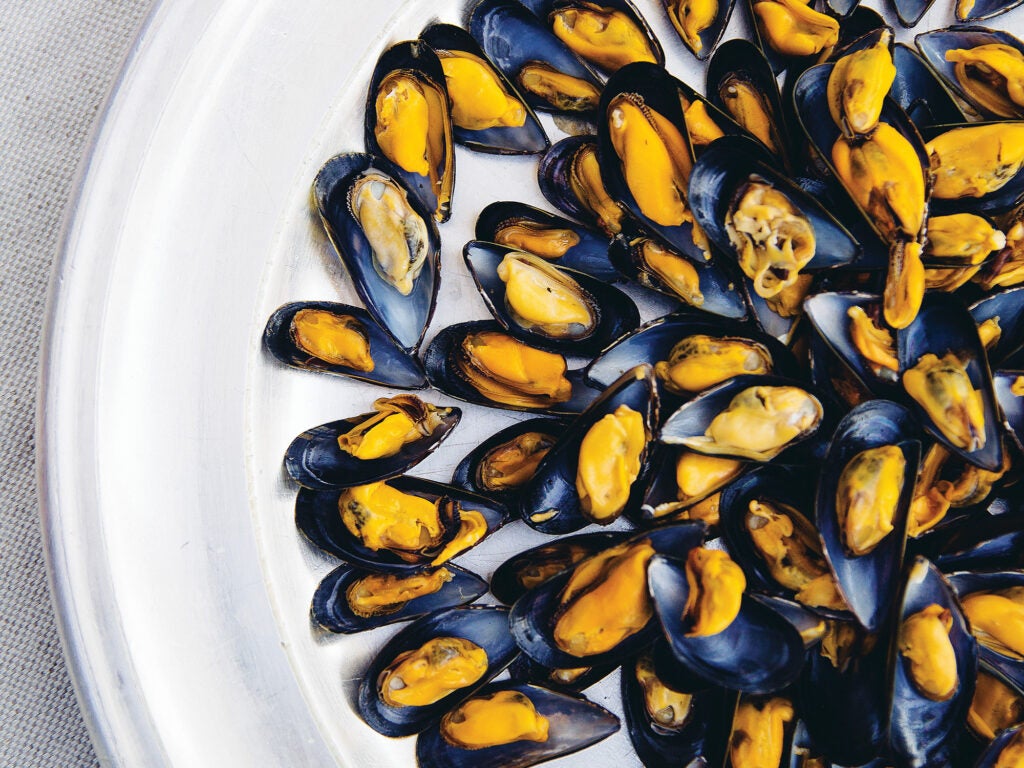 plate of French Mussels with Herbed Vinaigrette