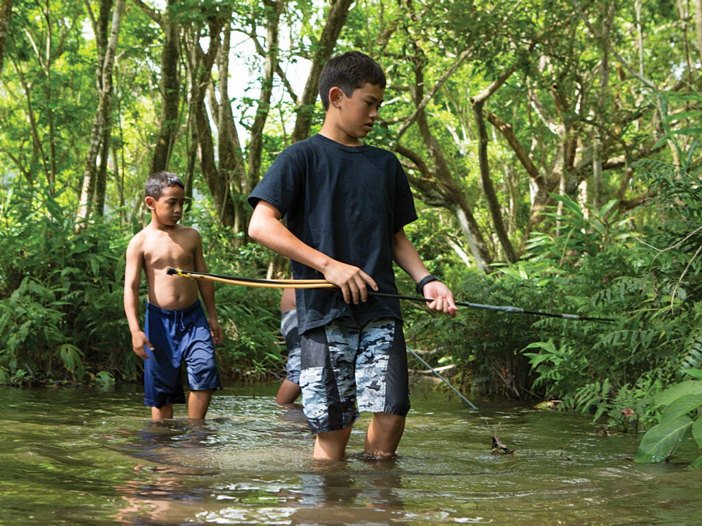 Two boys spear wild shrimp in a river in the Waipi'o Valley