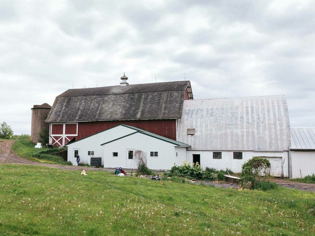 Dairy State's small farmstead
