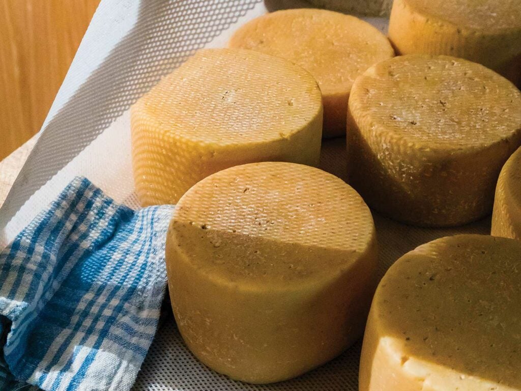 Large wheels of cheese