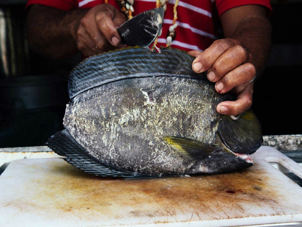 preparing fish for cooking