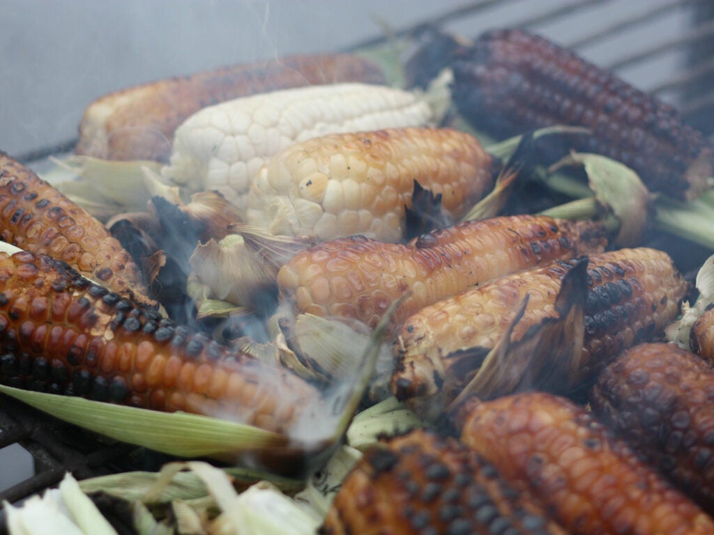 Eat Mexico Grilled Street Corn