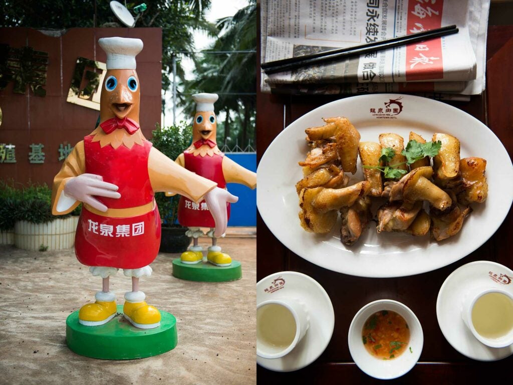 Left: Chickens at the Longquan Wenchang Chicken Industrial Farm. | Right: Wok-fried Wenchang chicken.
