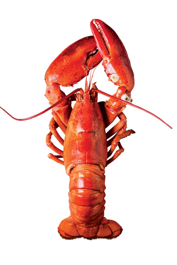 httpswww.saveur.comsitessaveur.comfilesimport2014feature_lobster-image_600x900.jpg