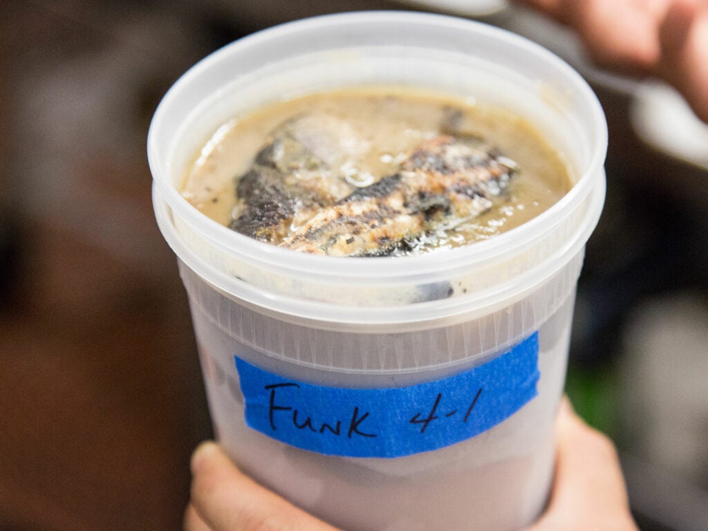 Lao Fish Funk Sauce