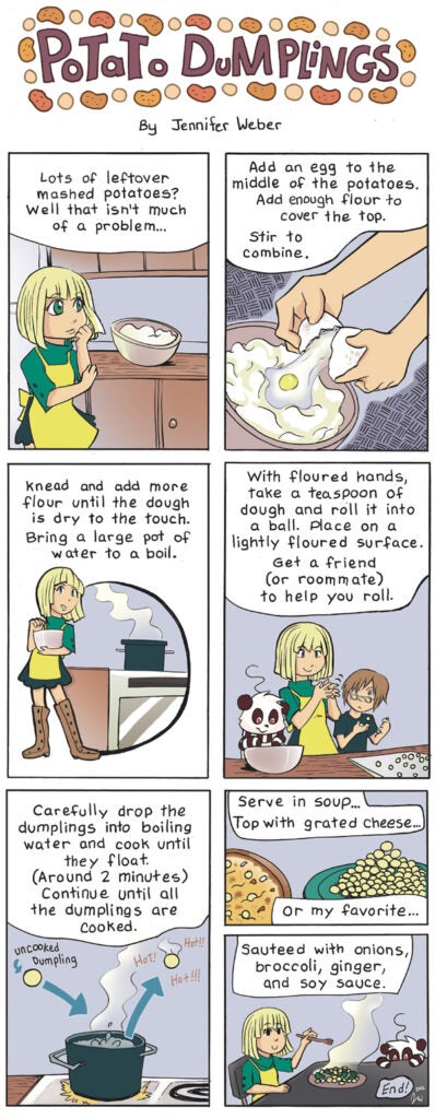 Potato Dumplings comic strip