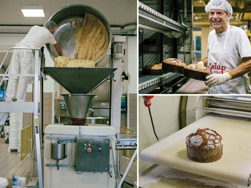 panettone dough