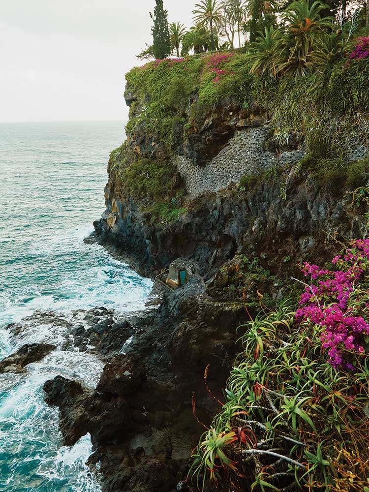 The rugged Madeira coast.