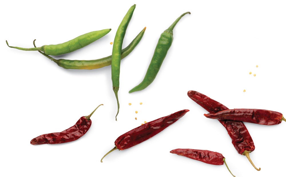 Indian green chiles and dried Kashmiri chiles