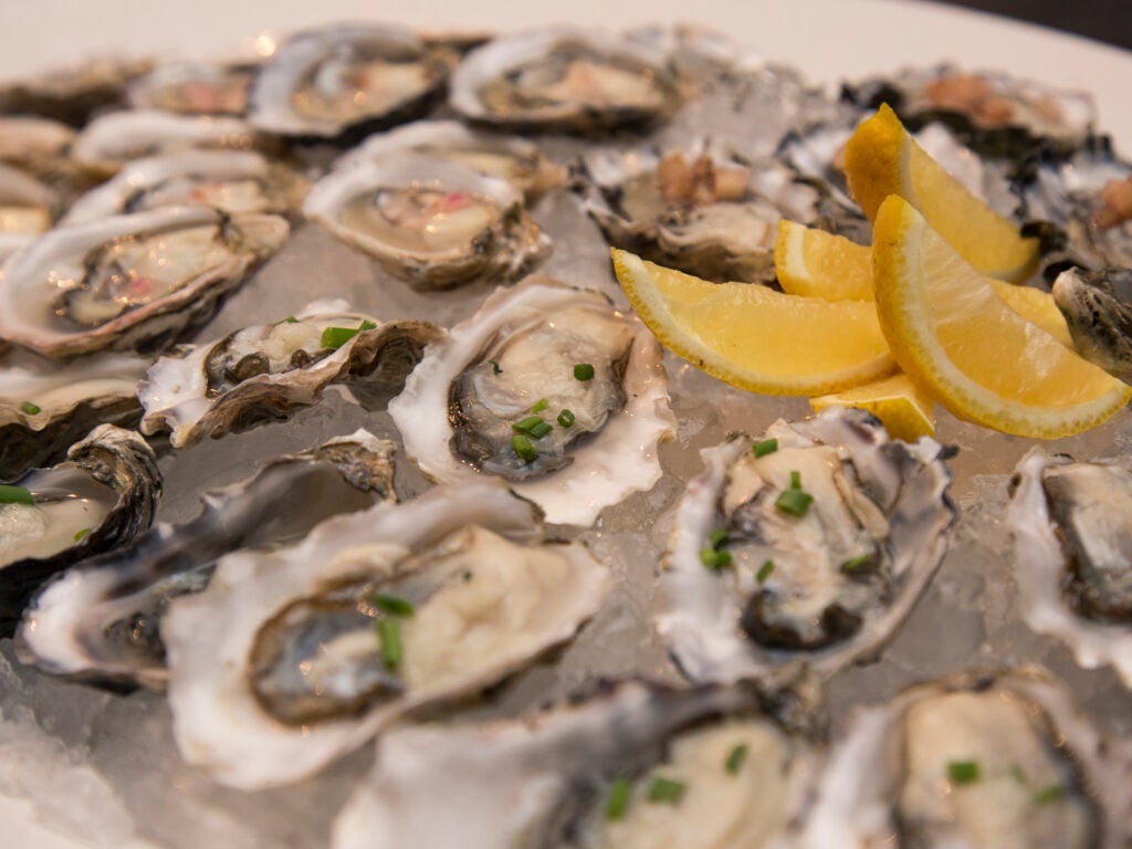 West Coast oysters