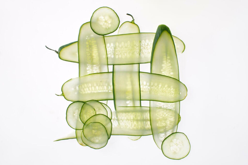 Cucumbers as art.