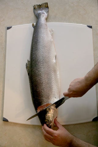 httpswww.saveur.comsitessaveur.comfilesimport2008images2008-05634-112_how_to_filet_a_salmon_1_480.jpg