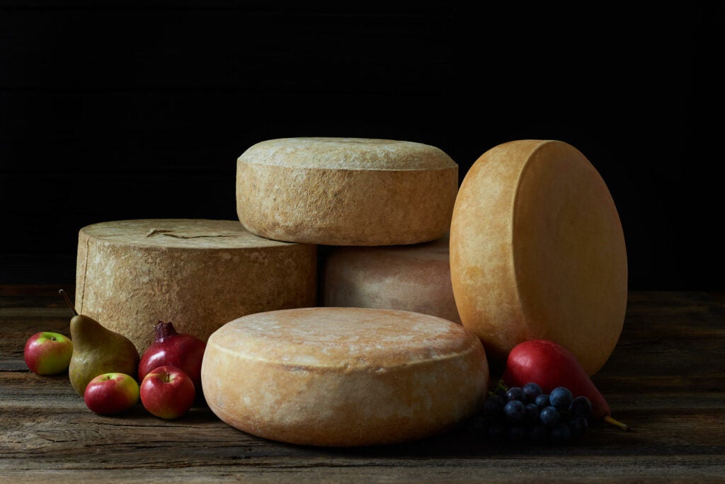 Your family will love this photo of cheese.