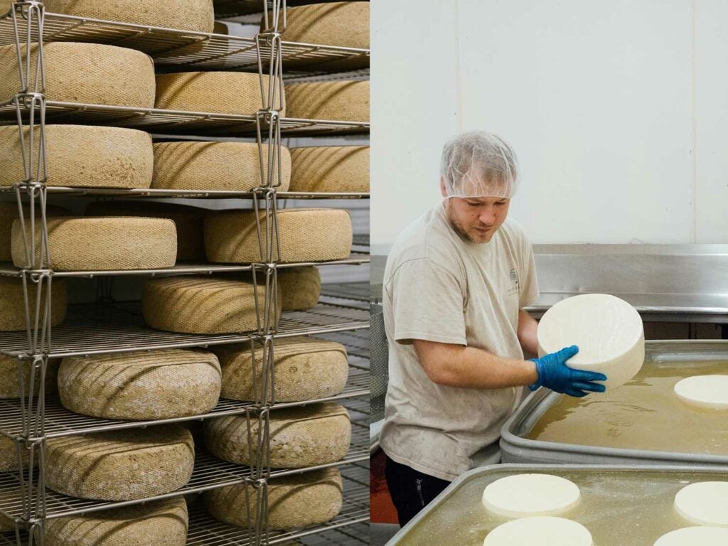 award-winning cheese producer