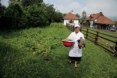 Agnes Elek gathers a rooster for her soup pot in Miklosvar