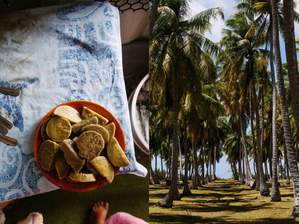 a bowl of taro and the atoll rangiroa