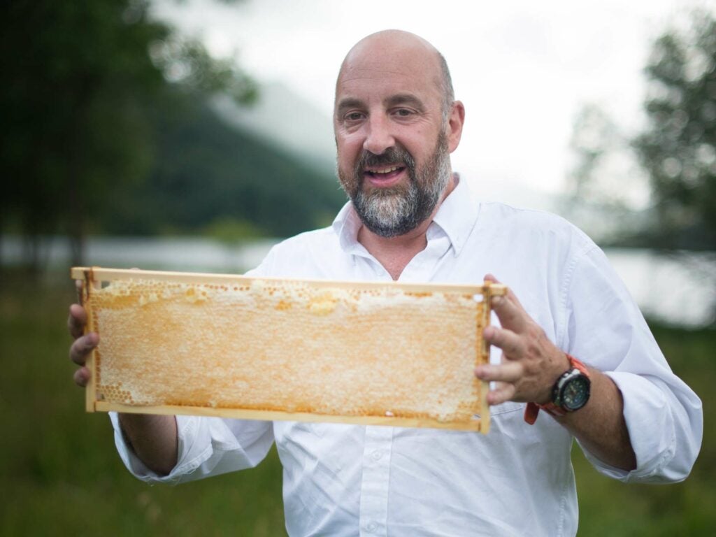 Tom Lewis heather honey