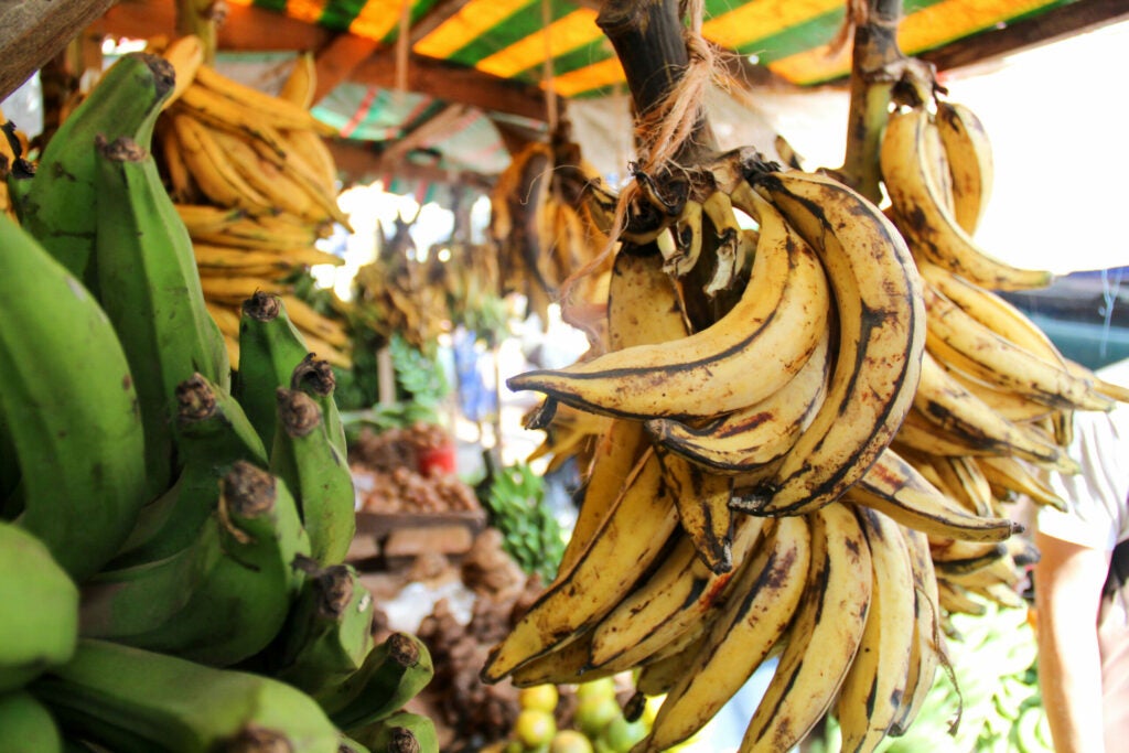 Bananas in Tanzania