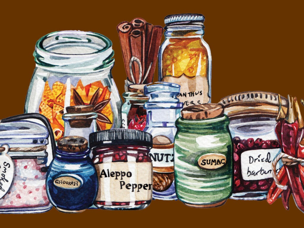 Spice Cabinet Illustration