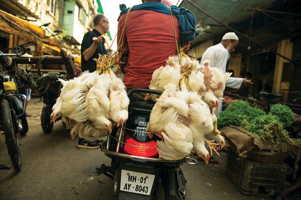 feature_west-india_mumbai_byculla-market_chickens_1200x800.jpg