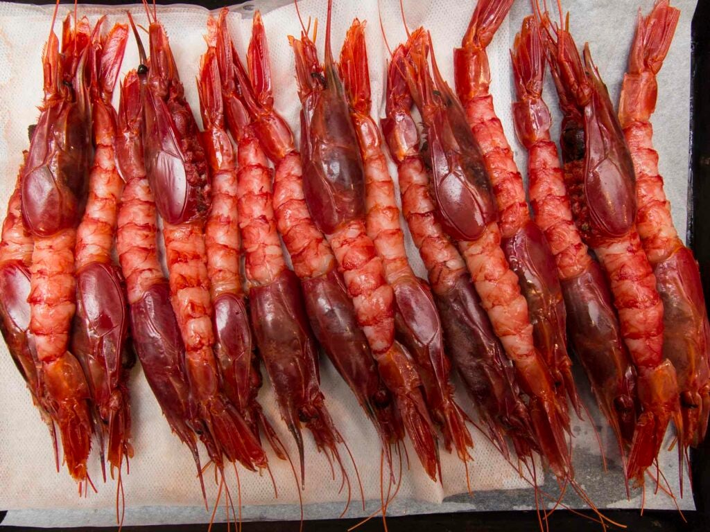 The carabineros in all their glory
