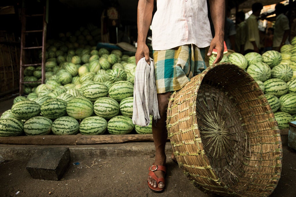 feature_west-india_mumbai_byculla-market_melons_1200x800.jpg