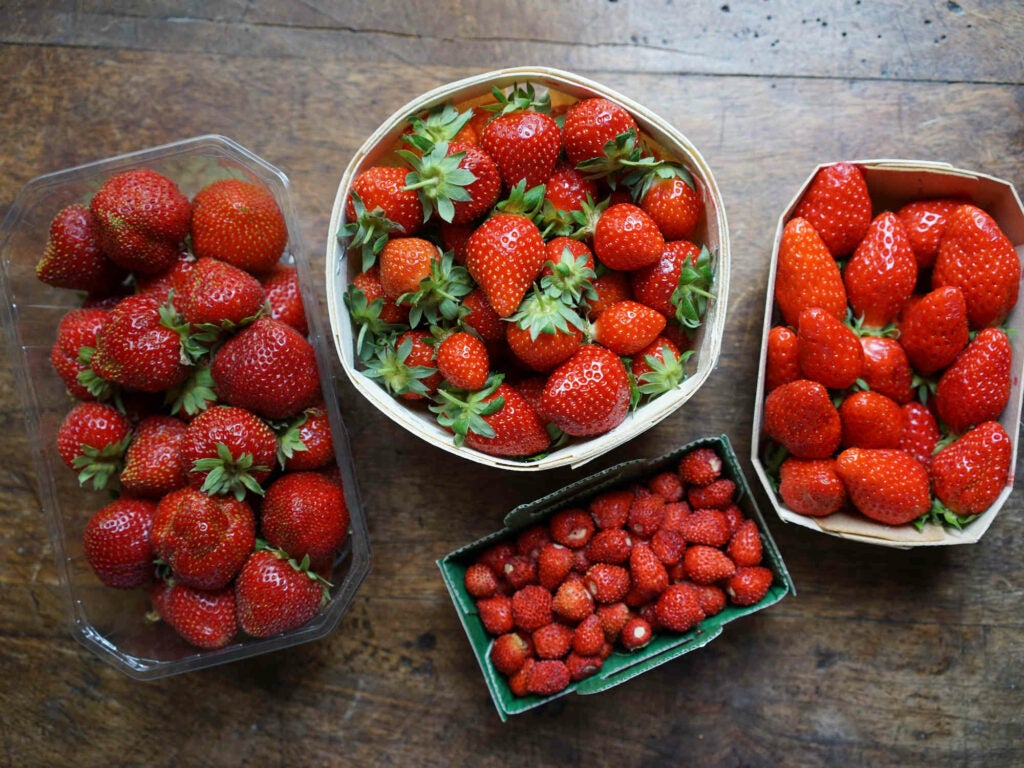 Strawberry Types