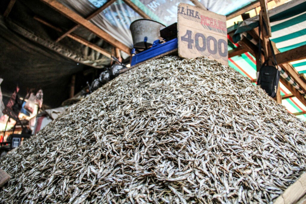Dried Fish in Tanzania