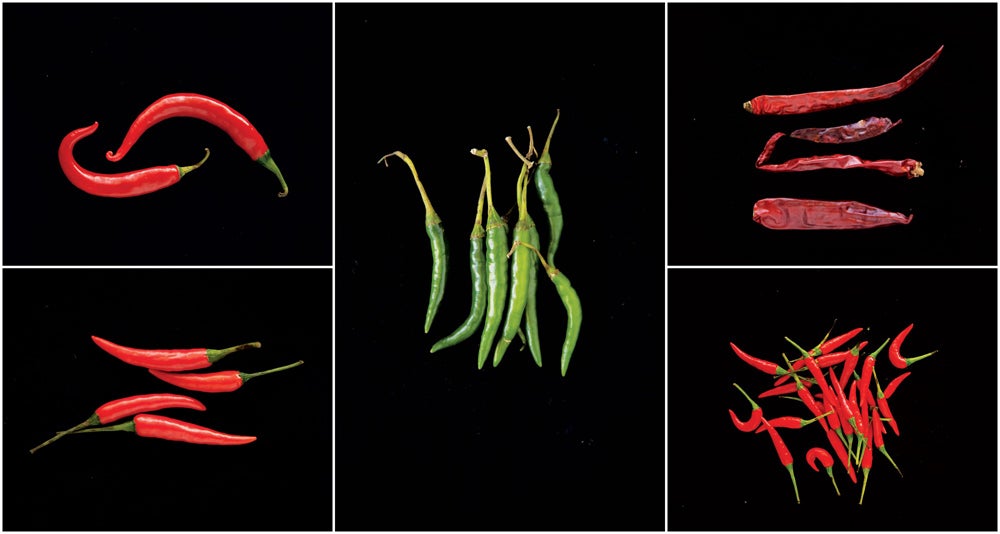 httpswww.saveur.comsitessaveur.comfilesimport2013images2013-03103-gallery_sichuan-flavors-peppers_1000x534.jpg