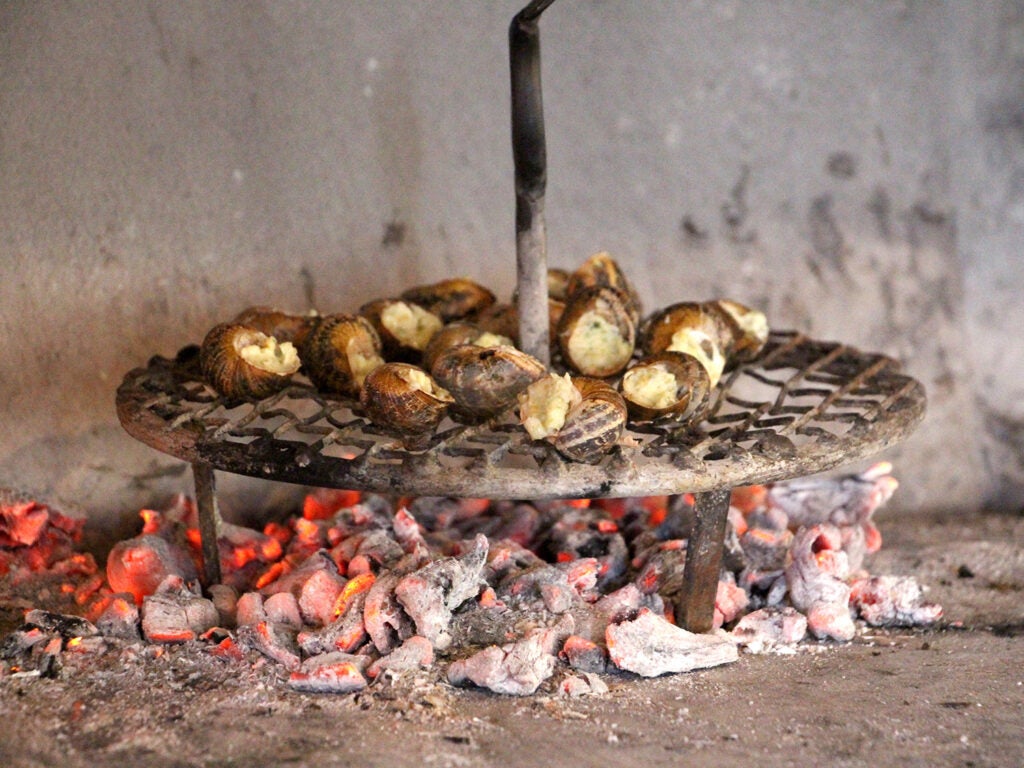 Snails cook over charcoal embers