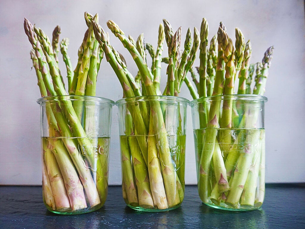 asparagus in jars of water