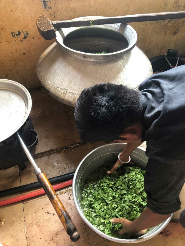 Ram gets chopped up spinach ready for the cook.