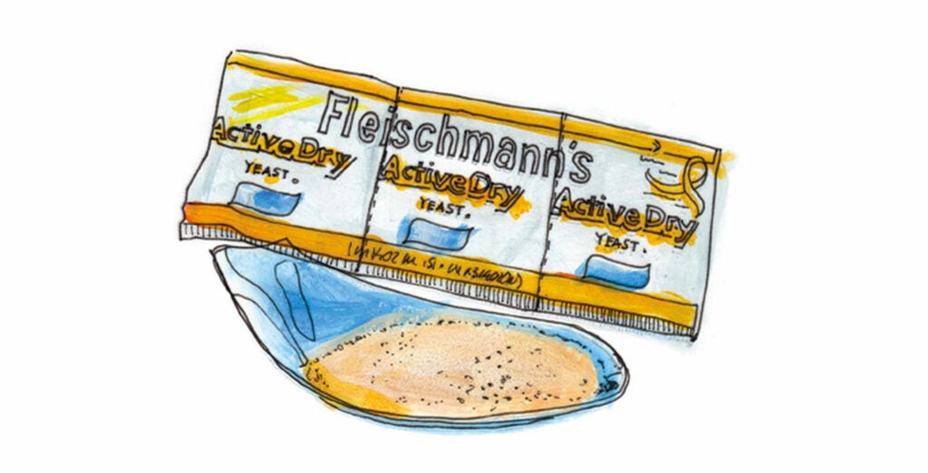 1868 The Fleischmann brothers create America’s first commercially produced yeast, a cake of compressed grain, barley malt, and brewer’s yeast.