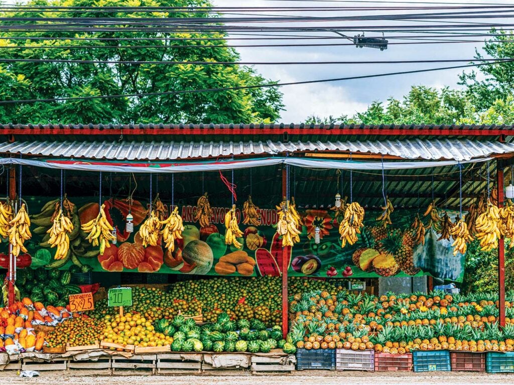 A roadside fruit stand outside Oaxaca de Juárez.