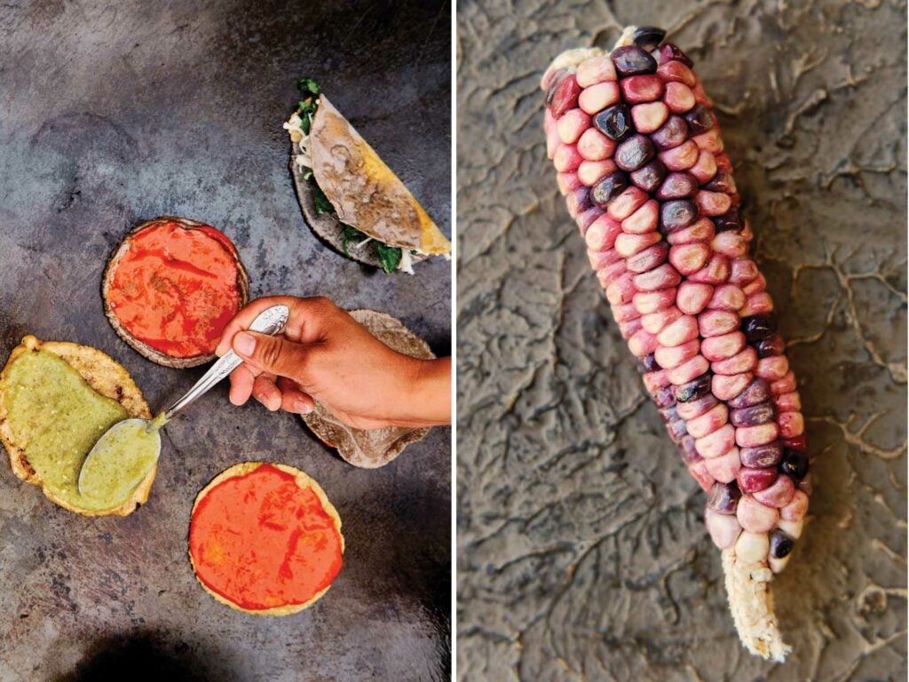 Chalupas receive a smear of green and red salsas; rose-tinged heirloom maiz, or corn, will become fresh masa.